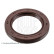 Oil seal, crankshaft