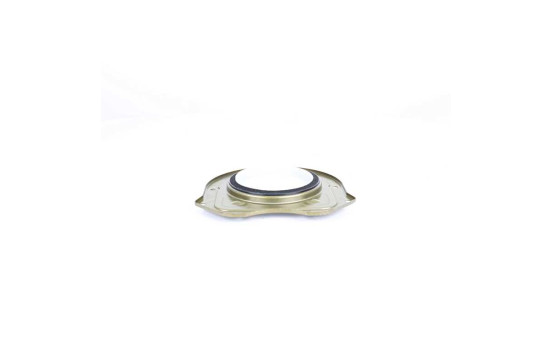 Seal, crankshaft