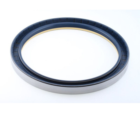 Sealing ring, Image 2