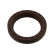 Shaft Seal, crankshaft 01577 FEBI