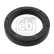 Shaft Seal, crankshaft 02085 FEBI, Thumbnail 2