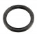 Shaft Seal, crankshaft 101915 FEBI