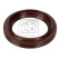Shaft Seal, crankshaft 173321 FEBI, Thumbnail 2