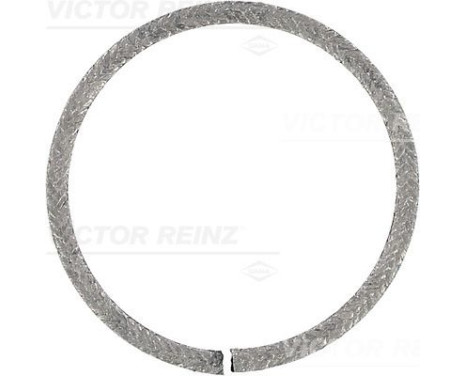 Shaft Seal, crankshaft 71-15275-10 Viktor Reinz