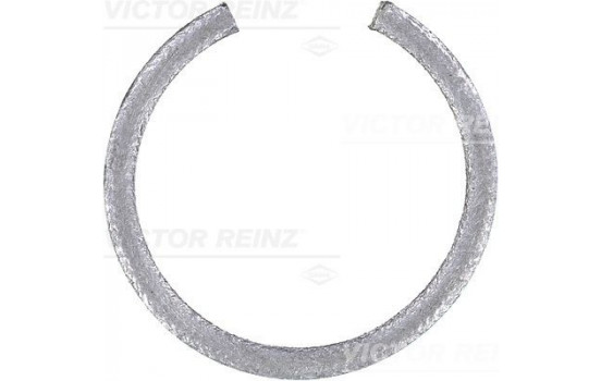 Shaft Seal, crankshaft 71-19722-00 Viktor Reinz