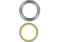 Shaft Seal, crankshaft 81-10004-00 Viktor Reinz