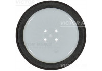 Shaft Seal, crankshaft 81-10569-00 Viktor Reinz