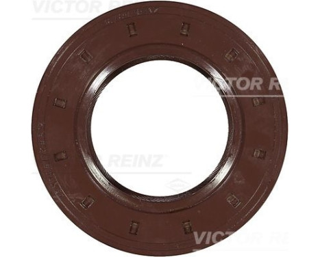 Shaft Seal, crankshaft 81-17328-20 Viktor Reinz