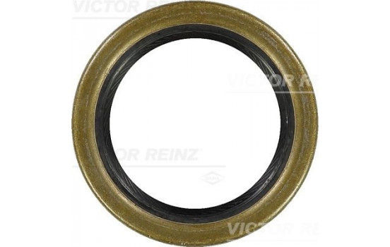 Shaft Seal, crankshaft 81-21087-10 Viktor Reinz