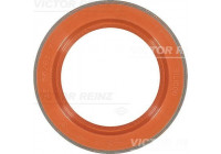 Shaft Seal, crankshaft 81-35876-00 Viktor Reinz