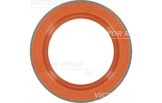 Shaft Seal, crankshaft 81-35876-00 Viktor Reinz