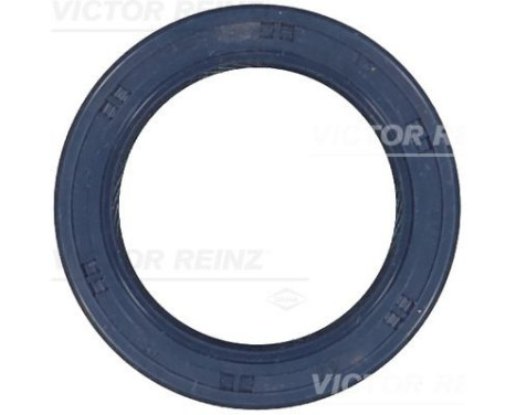 Shaft Seal, crankshaft 81-53243-00 Viktor Reinz