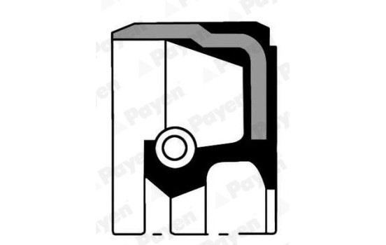 Shaft Seal, crankshaft NA5069 Payen