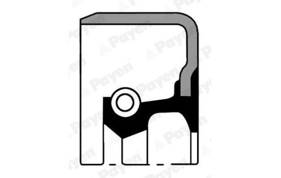 Shaft Seal, crankshaft NA5140 Payen