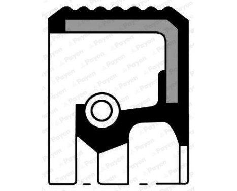 Shaft Seal, crankshaft NA5190 Payen