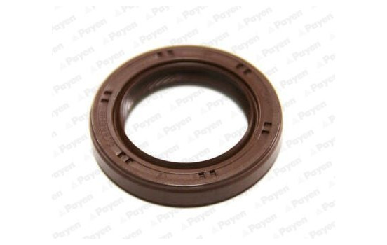 Shaft Seal, crankshaft NA5226 Payen