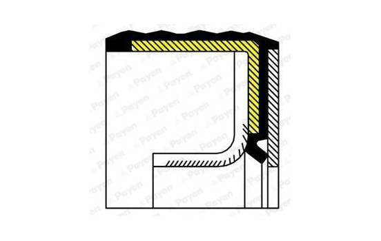 Shaft Seal, crankshaft NA5230 Payen