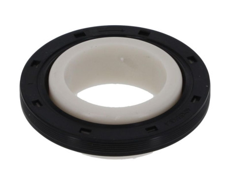 Shaft Seal, crankshaft NA5259 Payen