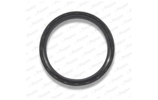 Shaft Seal, crankshaft NA5298 Payen