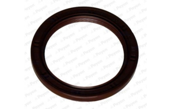 Shaft Seal, crankshaft NA5319 Payen