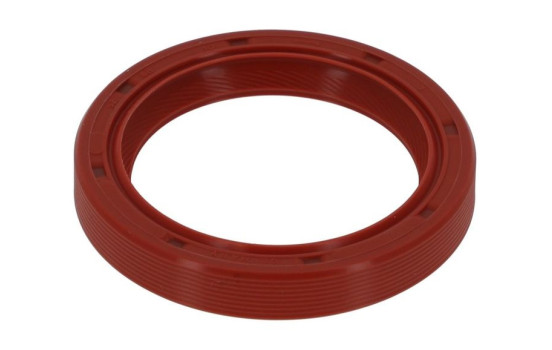Shaft Seal, crankshaft NA581 Payen