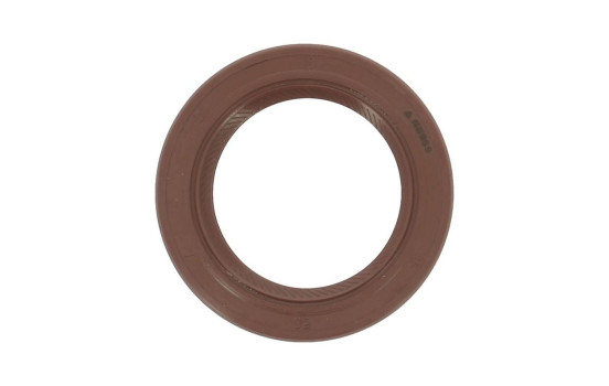Shaft Seal, crankshaft NB959 Payen