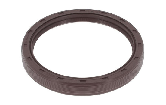 Shaft Seal, crankshaft NF776 Payen