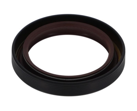 Shaft Seal, crankshaft NF843 Payen