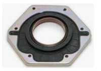 Shaft Seal, crankshaft NF885 Payen