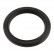 Shaft Seal, crankshaft