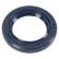 Shaft Seal, crankshaft