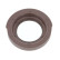 Shaft Seal, crankshaft