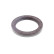 Shaft Seal, crankshaft