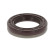 Shaft Seal, crankshaft