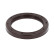 Shaft Seal, crankshaft
