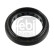 Oil seal, differential 185616 FEBI