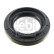 Oil seal, differential 192875 FEBI