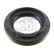 Oil seal, differential 192875 FEBI