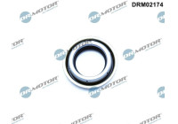 Oil seal, differential