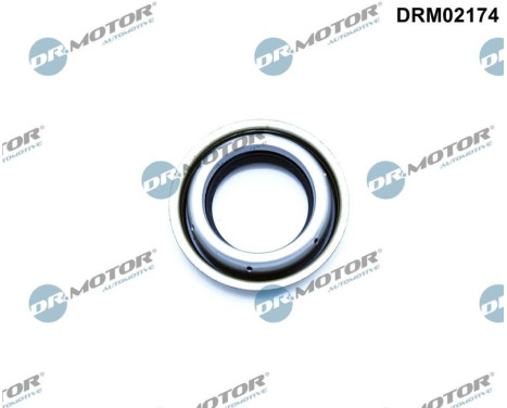 Oil seal, differential
