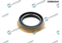 Oil seal, differential