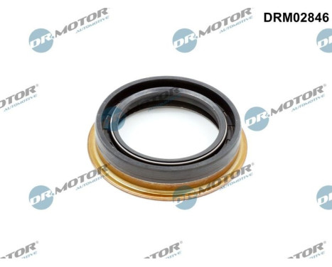 Oil seal, differential