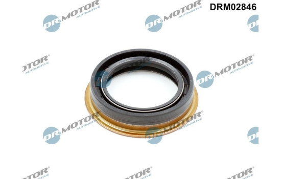 Oil seal, differential
