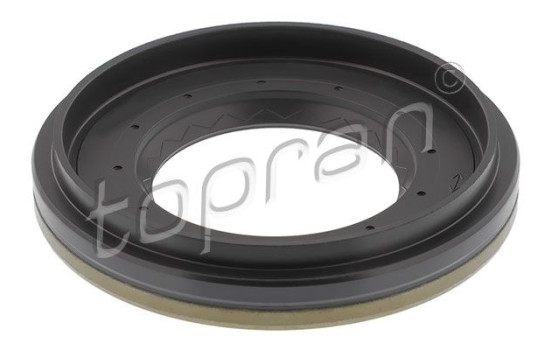 Oil seal, differential