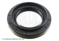 Oil seal, differential