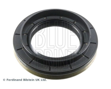 Oil seal, differential