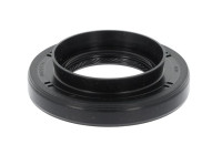 Oil seal, differential