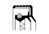 Oil seal, differential