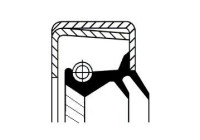 Oil seal, differential