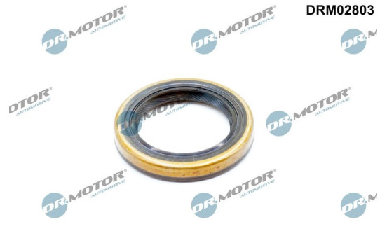 Oil seal, differential
